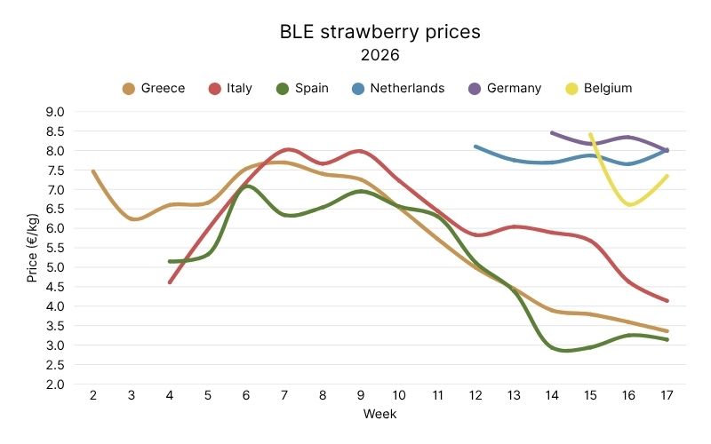 German BLE strawberry prices, 2026.jpg
